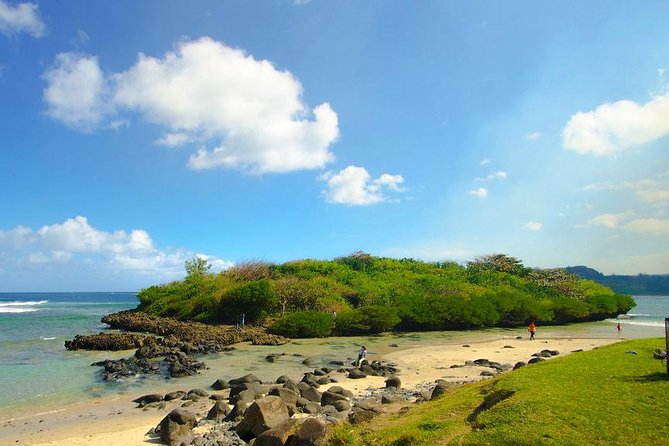 Tropical South West of Mauritius: Full-Day All Inclusive Tour (Visit to 3 Parks) - Highlights: Multicolored Sands