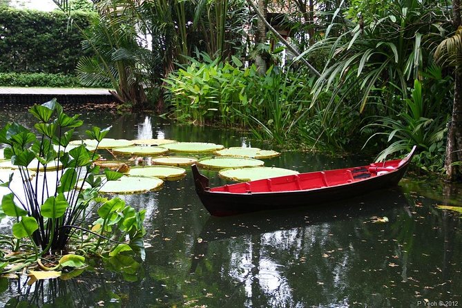 Tropical Spice Garden - Good To Know