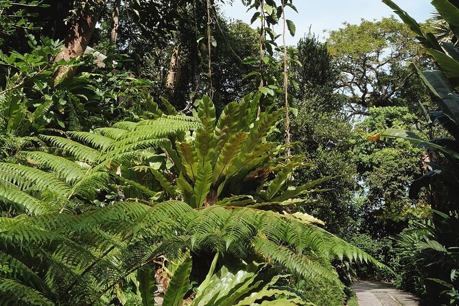 Tropical Spice Garden - Admission and Booking Details