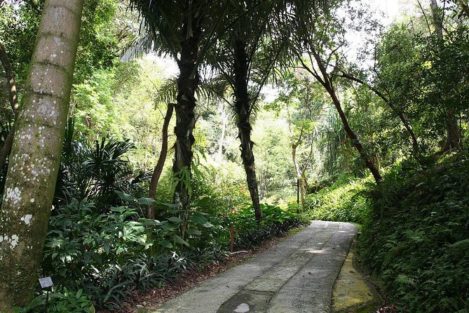 Tropical Spice Garden - Operator and Meeting Point