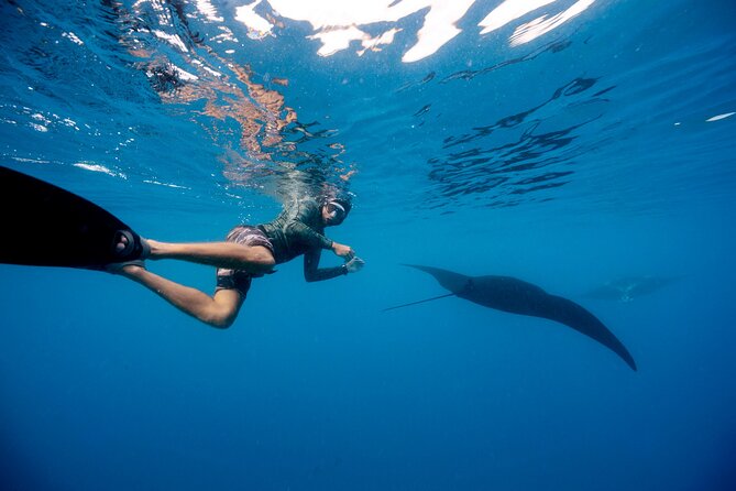 Tropical Tempter Package 4 Days | 3 Nights | All Activities Included - Important Information and Policies