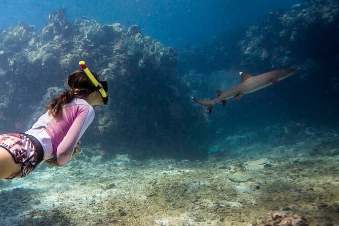 Tropical Tempter Package 4 Days | 3 Nights | All Activities Included - Activity Details