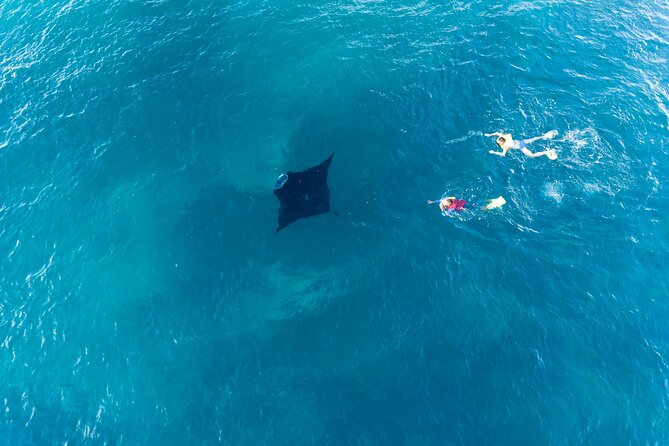 Tropical Tempter Package 4 Days | 3 Nights | All Activities Included - Accommodation Descriptions