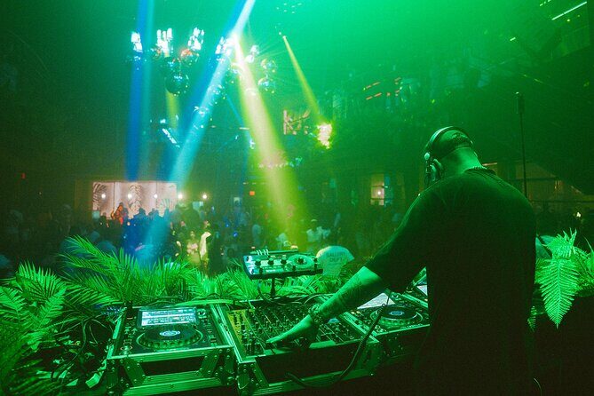 Tropicalia Disco Party Night Nightclub - Key Points