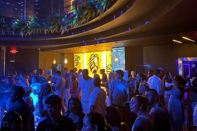 Tropicalia Disco Party Night Nightclub - Who Should Consider This Experience?