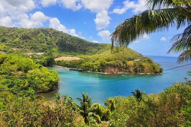 Tropically Yours - Uncovering Positive Traveler Feedback