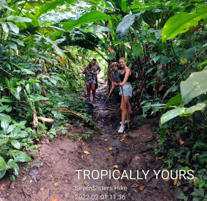 "Tropically Yours" Waterfall Nature Hike. - Who Will Enjoy This Tour?