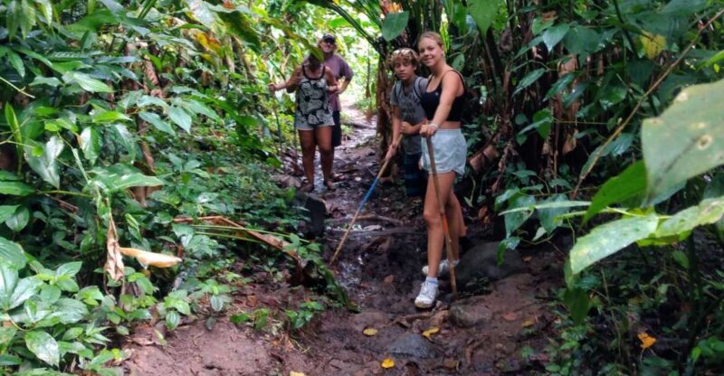 Tropically Yours Waterfall Nature Hike. - Key Points