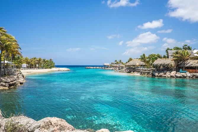 TRS Turquesa- Round Trip Shuttle - Punta Cana Airport - Meeting and Pickup Arrangements
