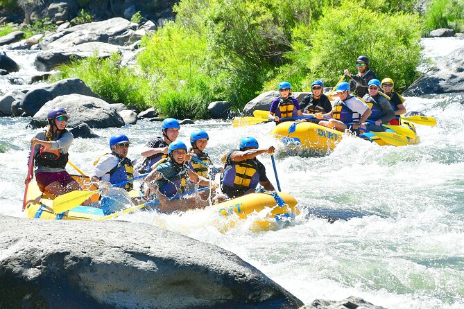 Truckee River: Boca to Floriston Run (Class III Whitewater) - Tour Highlights and Guides