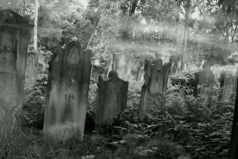 True Crime Philadelphia and History Tour - Guest Experience