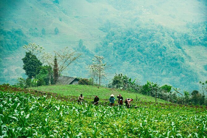 True North Ha Giang Loop Motorbike Tour 4 Days of Adventures - Overview of the Experience
