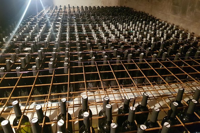 Truffle and Wine / Taste of Istra From Porec, Umag - Pricing and Inclusions