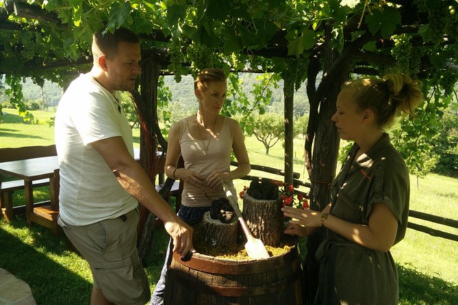 Truffle and Wine / Taste of Istria From Porec, Rovinj, PULA - Truffle Hunting in Livade