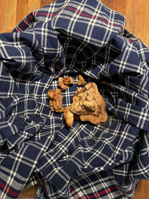 Truffle Experience & Wine Brunch in the Cellar - Itinerary Details