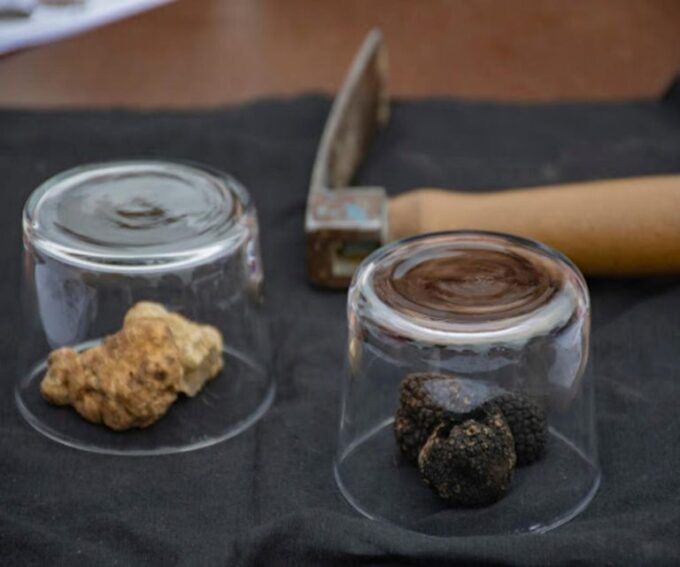 Truffle Experience & Wine Brunch in the Cellar - Frequently Asked Questions
