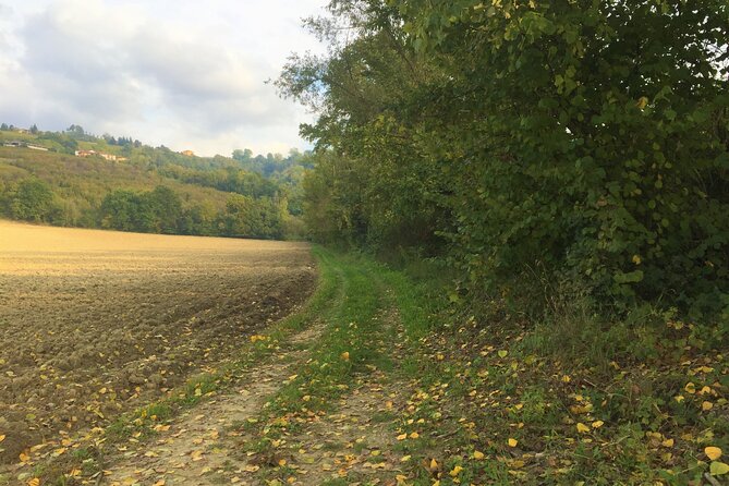 Truffle Hunt and Barolo Wine Tasting - Inclusions and Logistics