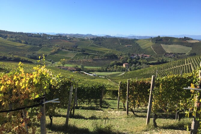 Truffle Hunt and Barolo Wine Tasting - Seasonal Information
