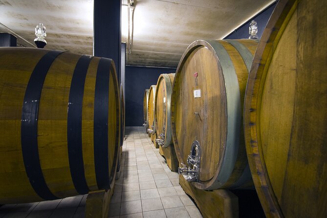 Truffle Hunt and Barolo Wine Tasting - Uncovering Truffles and Sipping Barolo