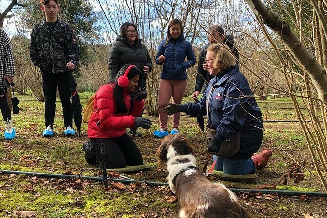 Truffle Hunt and Truffle Pizza Experience in Red Hill - Discover the Delight of a Truffle Hunt and Pizza Experience in Red Hill