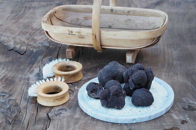 Truffle Hunt and Truffle Pizza Experience in Red Hill - A Closer Look at the Truffle Hunt and Pizza Experience