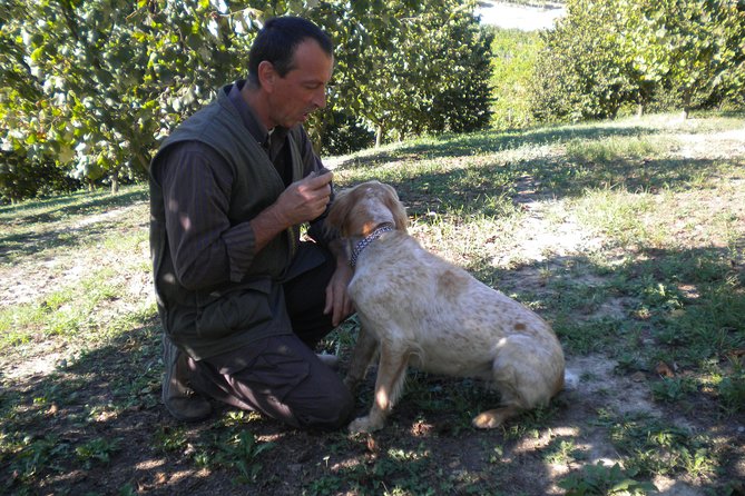 Truffle Hunt & Barolo Wine Tasting - Truffle Hunting Details