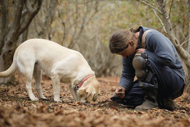 Truffle Hunt & Barolo Wine Tasting - Meeting Information