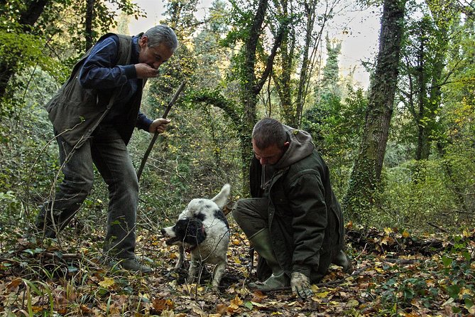 Truffle Hunt & Barolo Wine Tasting - Confirmation and Cancellation