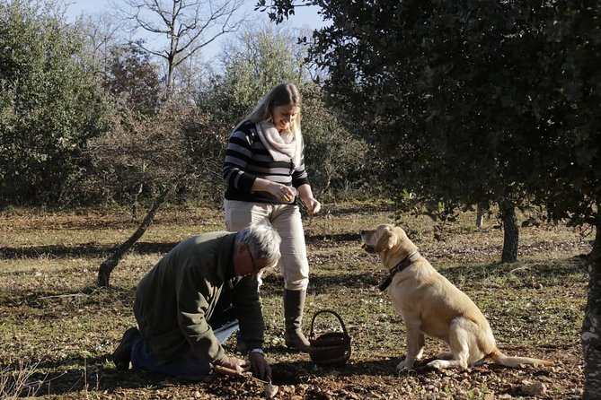 Truffle Hunt & Barolo Wine Tasting - Traveler Feedback