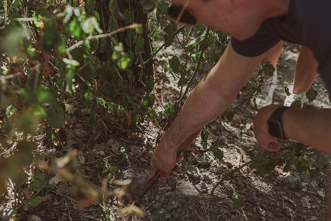 Truffle Hunt in Tuscany - Meeting and Pickup