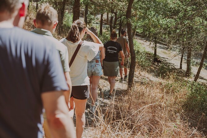 Truffle Hunt in Tuscany - Reviews and Feedback