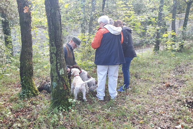Truffle Hunt, Lunch, Horse Riding, a Top Half-Day Near Florence - Culinary Delights