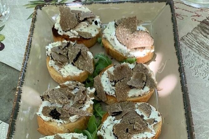 Truffle Hunting Adventure - Logistics and Meeting Point