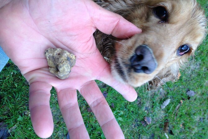 Truffle Hunting and Handmade Pasta in Ascoli Piceno - Mastering Homemade Pasta Preparation