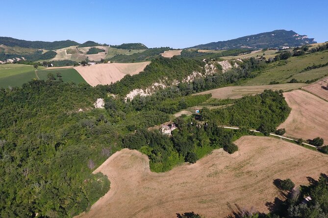 Truffle Hunting and Handmade Pasta in Ascoli Piceno - Savoring the Truffle-Infused Lunch