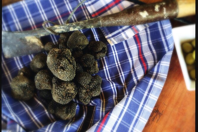 Truffle Hunting and Handmade Pasta in Ascoli Piceno - Meeting Point and Location Details