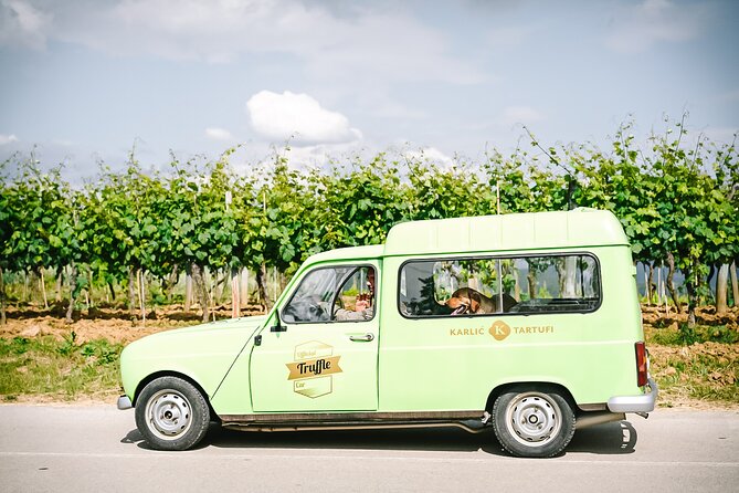 Truffle Hunting & Cooking Tour - Truffle-Centric 3-Course Meal