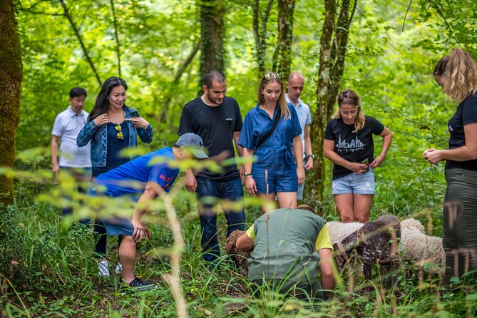 Truffle Hunting & Cooking Tour - Dessert: Truffles and Belgian Chocolate