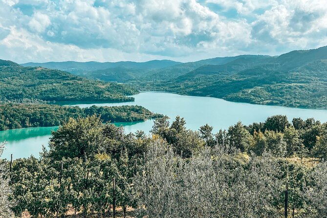 Truffle Hunting & Cooking Tour - Booking and Logistics