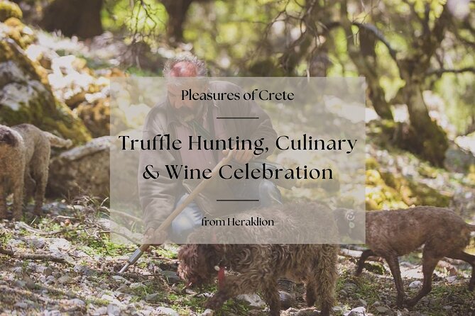 Truffle Hunting, Culinary & Wine Celebration From Heraklion - Key Points