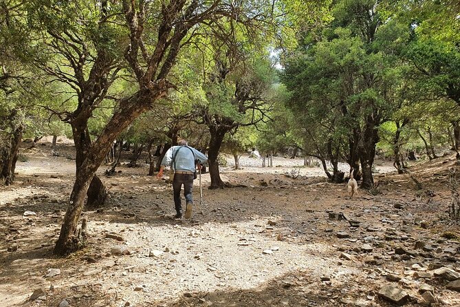 Truffle Hunting, Culinary & Wine Celebration From Heraklion - Cretan Culinary Delights