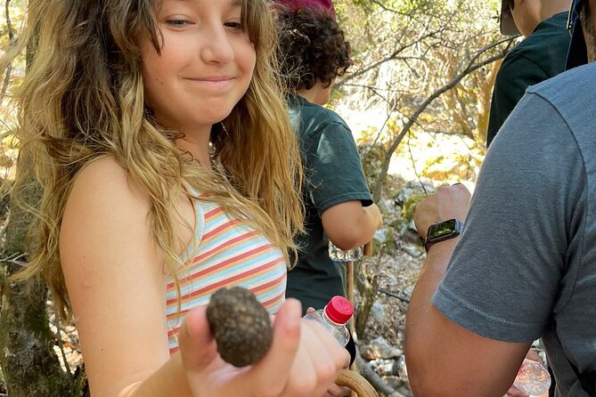 Truffle Hunting, Culinary & Wine Celebration From Heraklion - Scenic Lassithi Plateau