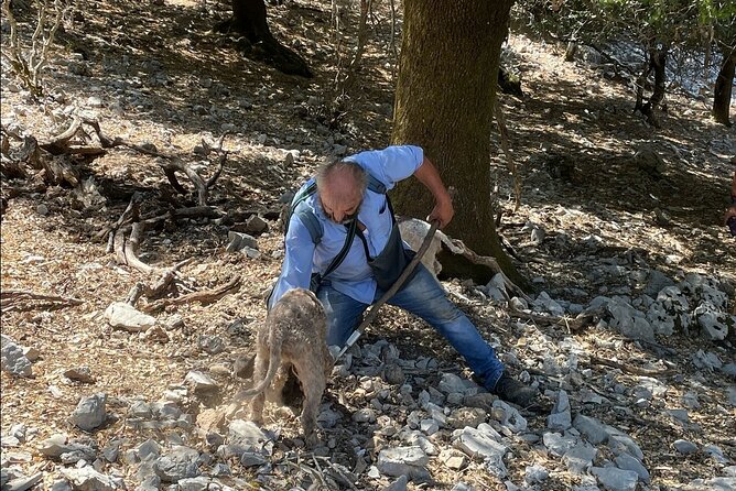 Truffle Hunting, Culinary & Wine Celebration From Heraklion - Pricing and Inclusions