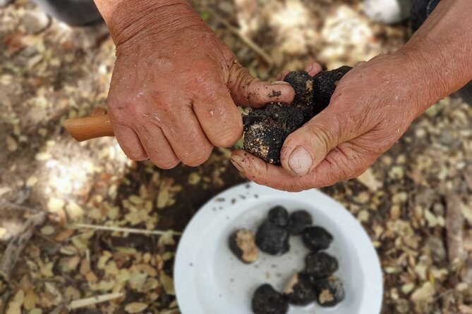 Truffle Hunting, Culinary & Wine Celebration From Heraklion - Customer Feedback and Recommendations