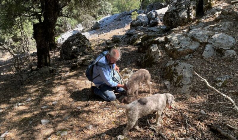 Truffle Hunting, Culinary & Wine Celebration From Heraklion - Exploring the Cave of Zeus