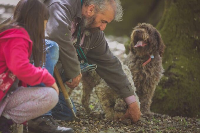 Truffle Hunting, Culinary & Wine Celebration From Heraklion - Family-Run Pottery Shop Tour
