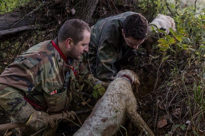Truffle Hunting - Meeting and Transportation Details