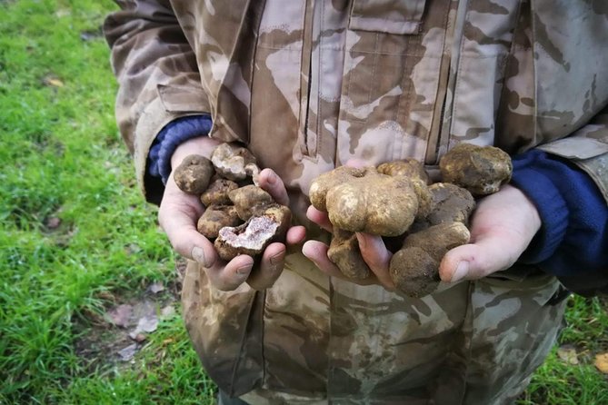 Truffle Hunting - Highlights of the Truffle Hunting Adventure