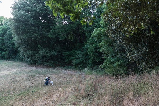 Truffle Hunting - Participant Feedback and Experiences