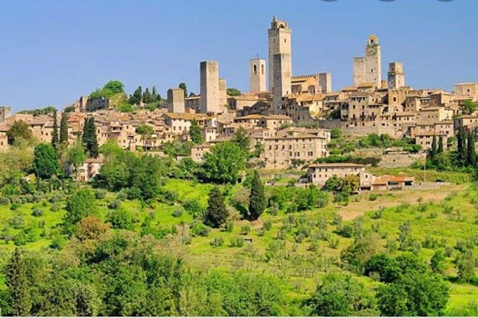 Truffle Hunting - Exploring the Tuscan Woodlands for Truffles